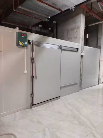 Chambre froide 10x10x8 pieds, porte à charnière pour congélateur, pour viande de poulet